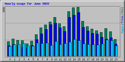 Hourly usage for June 2022
