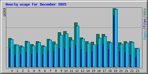 Hourly usage for December 2025